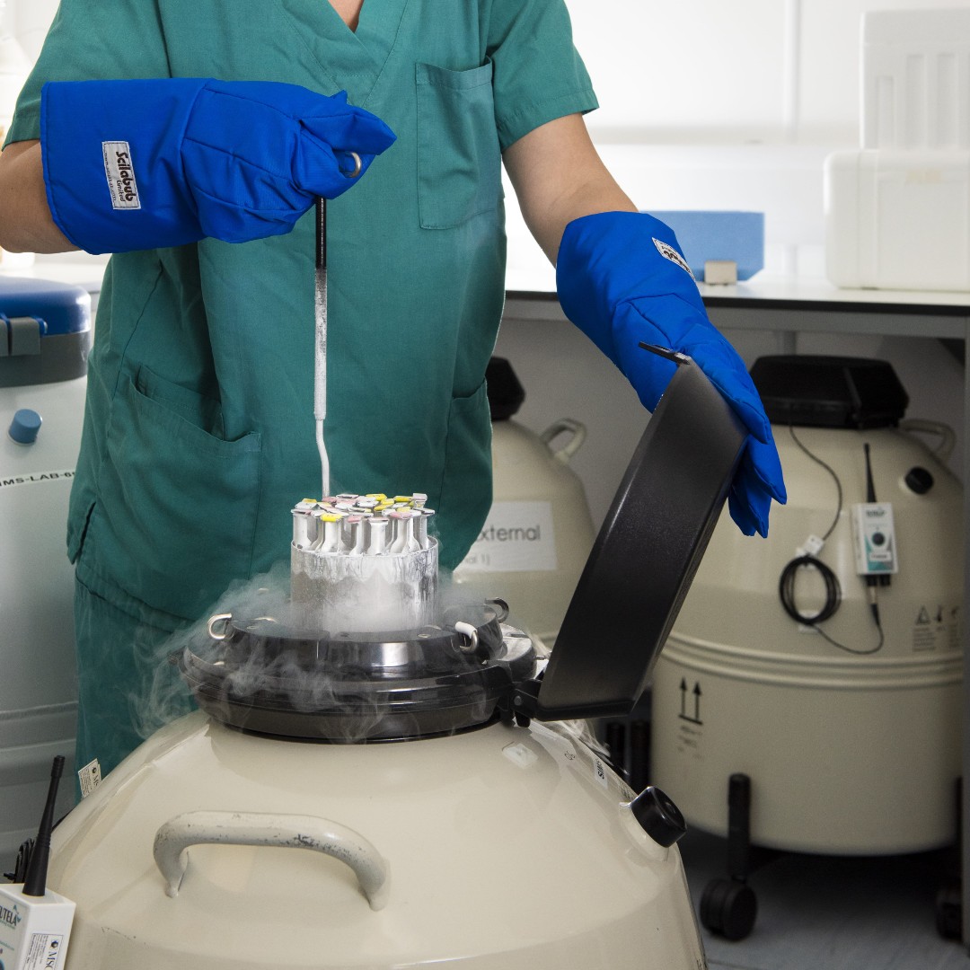 If you're not yet ready to have a child, egg freezing can help safeguard your future fertility. Find out more here: ow.ly/oUMt50CMWB1
#eggfreezing #fertilitypreservation #fertility