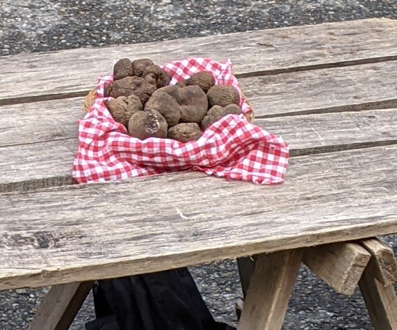 Quercy46Lot's tweet photo. Visiting the Tuesday truffle market in Lalbenque, we bought a small one, smells heavenly. https://t.co/24jZxj2sUq