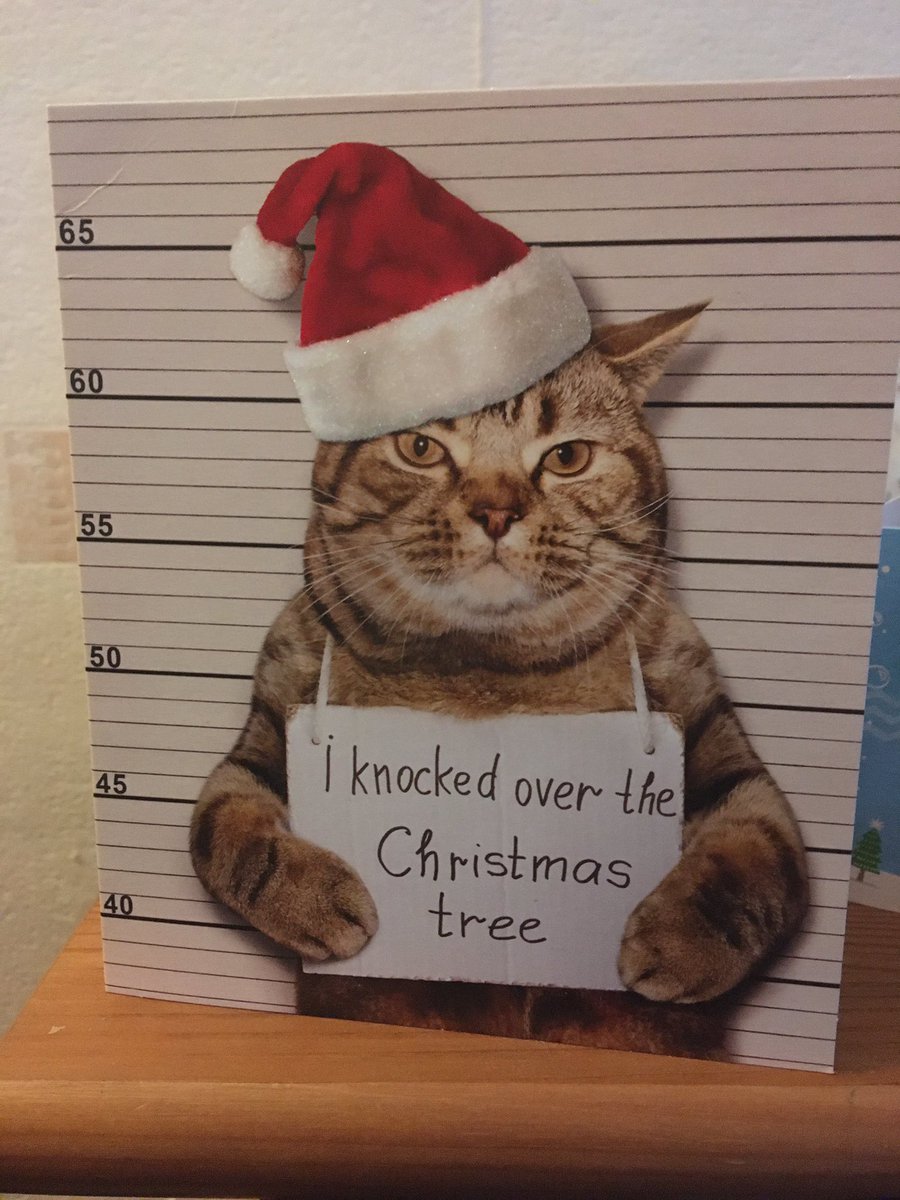 GremlC's tweet photo. He got another card today, surely can’t be a reference to moi. #idestroyxmastrees #fairygate #itakethefifth #wasntmehonest #CatsOfTwitter https://t.co/e0VpOLJufl