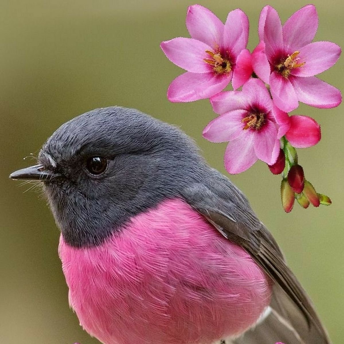 Sevgi ve merhametin gitmesine izin vermeyin!