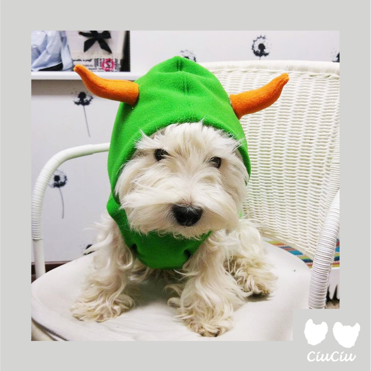 Rima_ciuciu's tweet photo. Thank you for all these years we spend together living, laughing, traveling, crying, working, being, creating.
I wish you to be healthy, happy and enthusiastic like you are today. Thank you my birthday girl for each and every minute with me.
#birthdaygirl #DogsofTwittter #Dog https://t.co/jHZzq8JvJ1