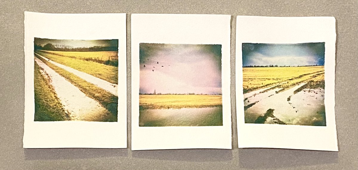 AngelGurriaQ's tweet photo. Been having fun making a new set of @Polaroid emulsion lifts...
#Cambridge #Coton #ThisIsCambridge #filmisnotdead #alternativephotography
#emulsionlift https://t.co/2JTxeJdoy6