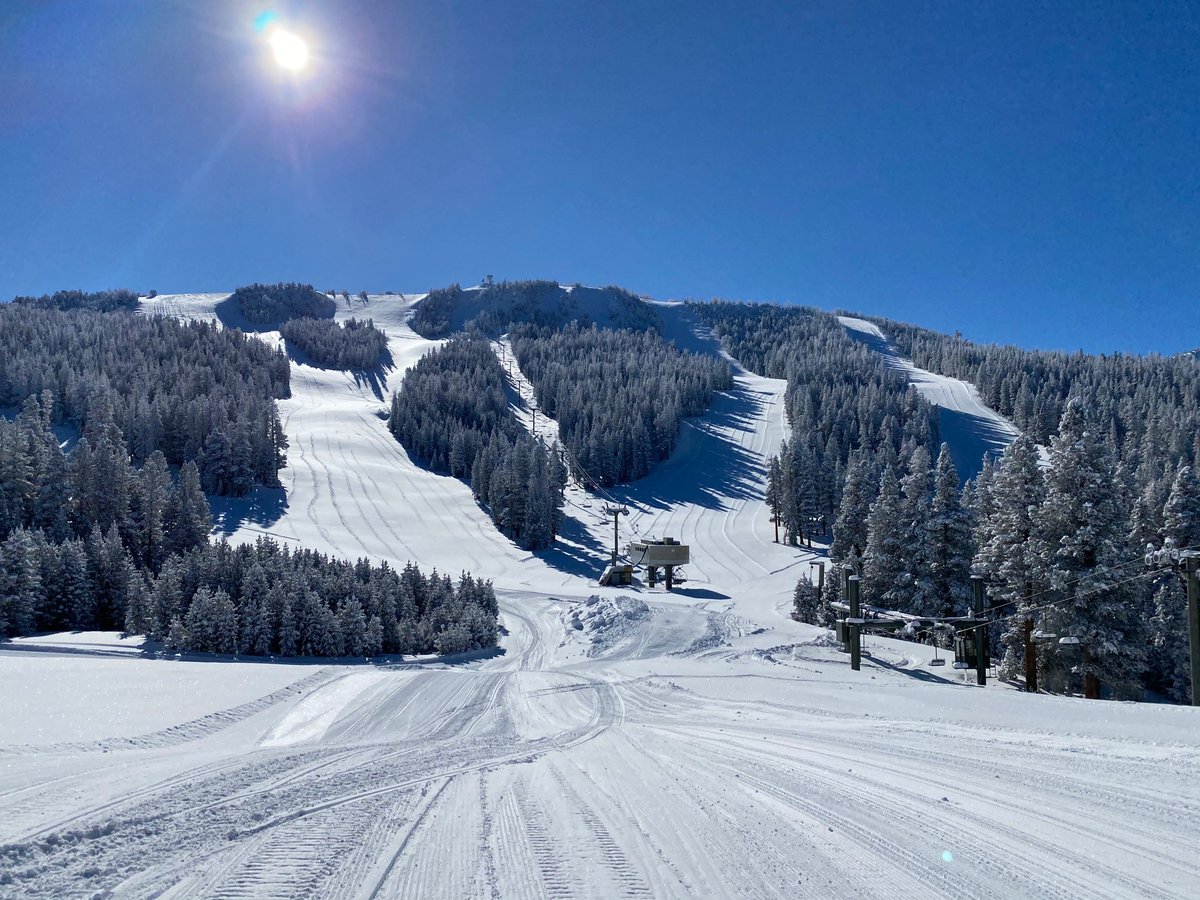 June Mountain tweet media