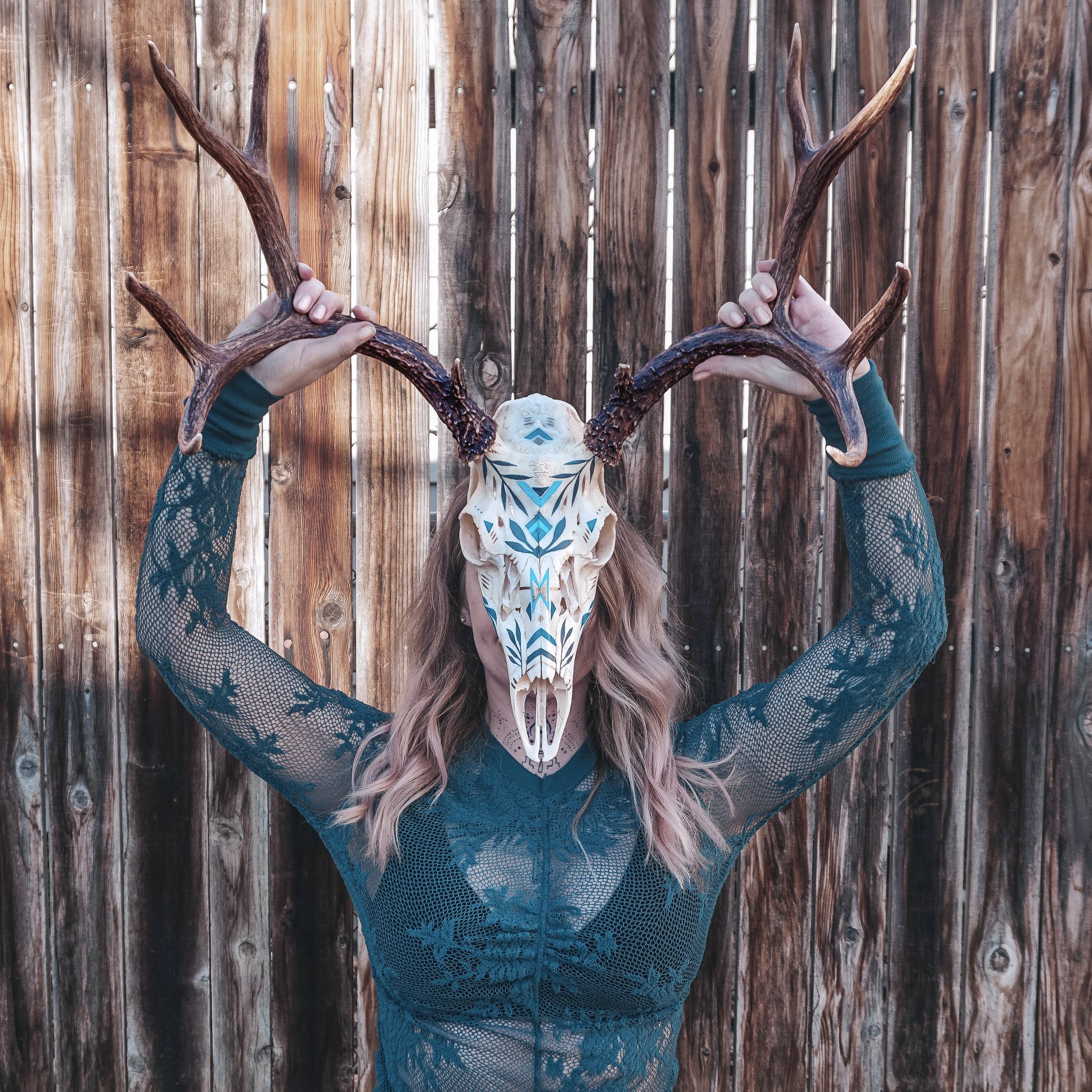 Painting deer skull online