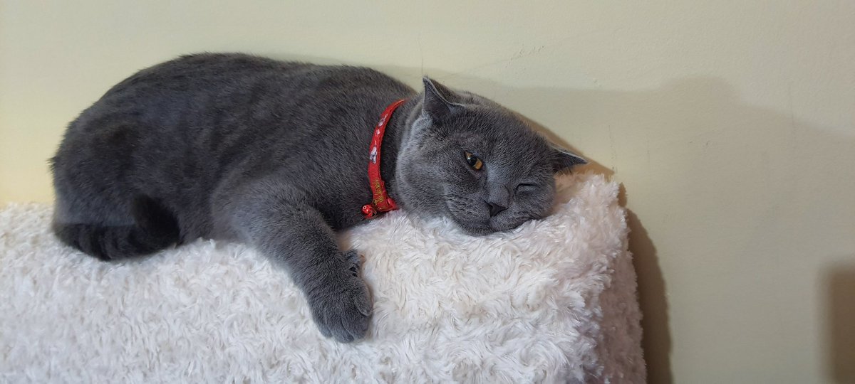 Hayırlı geceler 😺 #duman