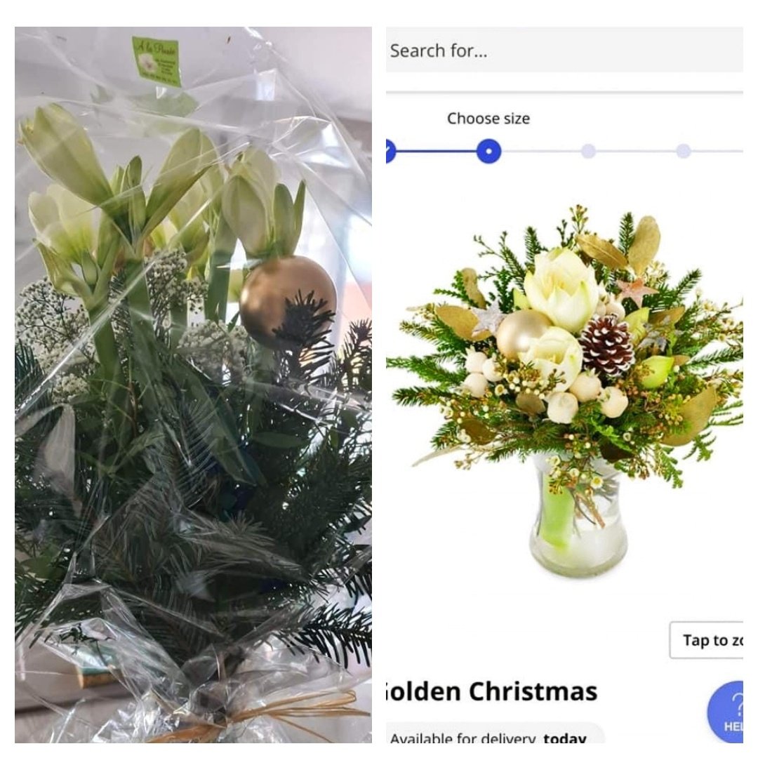 StephyBourgeois's tweet image. According to @Telefleurs the bouquet I received is the same as what I ordered from their website. I should even be lucky as, quote from Téléfleurs: "The florist even put more amaryllis than on the picture" Extremely poor #customersatisfaction