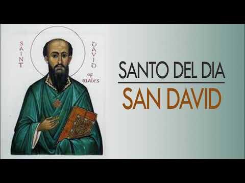 davidmunozt31's tweet photo. Se han preguntado de quién es Santo hoy ? #ElDeivid https://t.co/8wL9k7aMu5