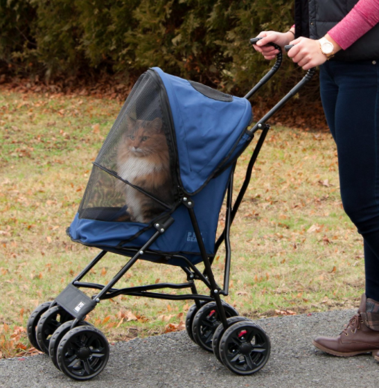 "Hm. Perhaps I should buy a boat."