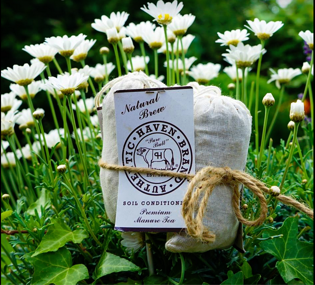 GreenSoil's tweet photo. #HavenBrand start your #garden off right, feed your #soil our premium soil conditioner tea. Free S/H at https://t.co/cPuhEavnF2 Safe for all #plants and #soil types
#seeds #bulbs #moopootea #familyowned https://t.co/GCGeM9gWsx