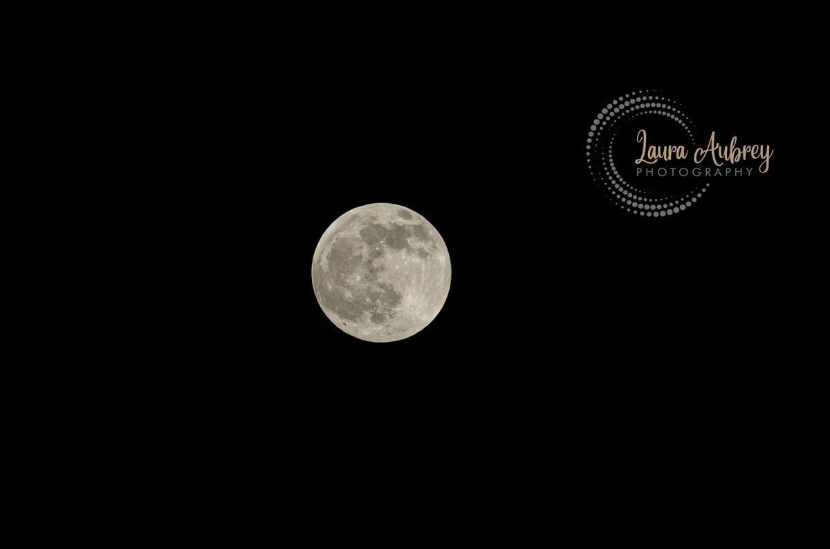 laura_aphoto's tweet photo. The final full moon of 2020 called The cold Moon
#fullmoon #2020 #moon #thecoldmoon #luna #moonmagic #moonwatch #astrophotography #moonphotography #sky #nightsky #moonlover #moonphase #darksky #lookup #canoneosr #benbo #dorset #nature #moonlight https://t.co/z6pTfgoW6t