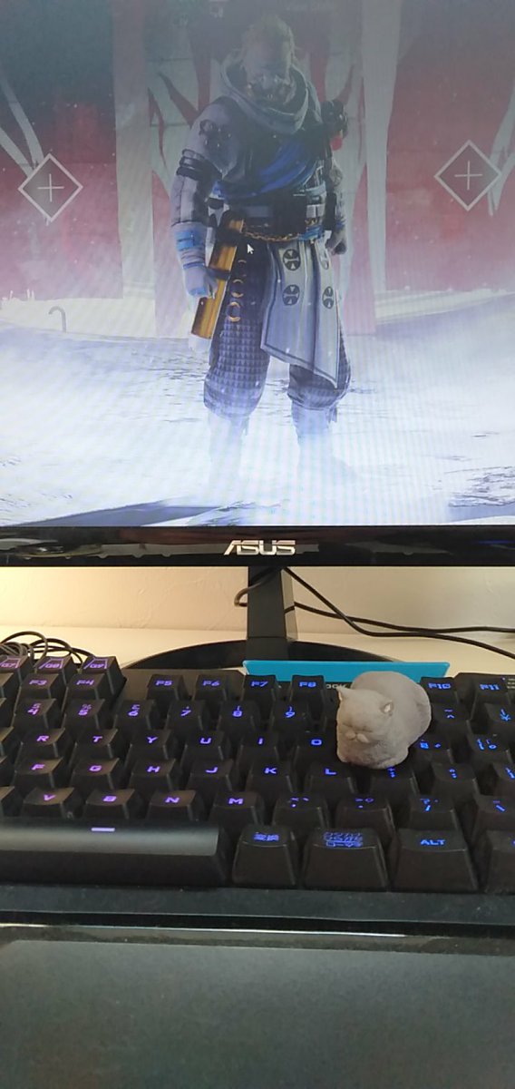 休日だー！
暴風ダァー！
ステイホーム！
#実はインドア派
#ApexLegends