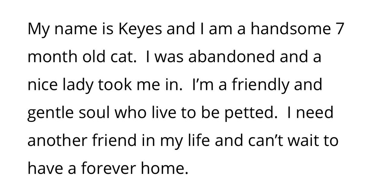 ConnectionKitty's tweet image. 