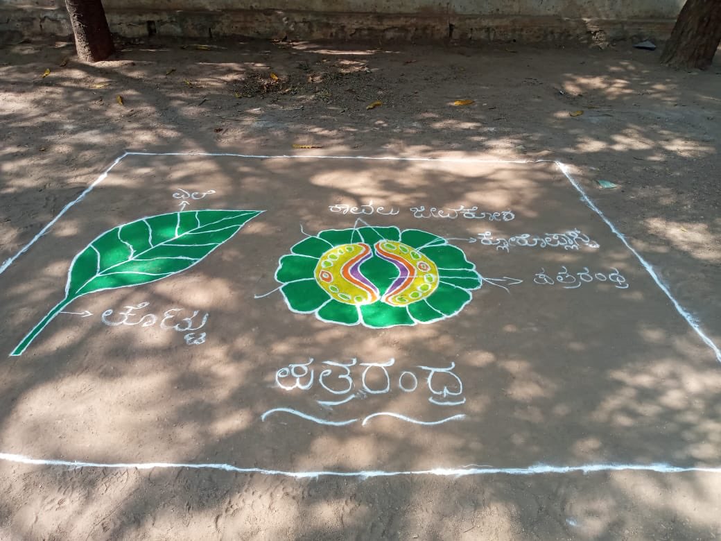 readingkafka's tweet image. Science rangolis as part of Oduva Belaku activities! Pictures from Bellary. 
#rurallibraries 
#readingandlearning