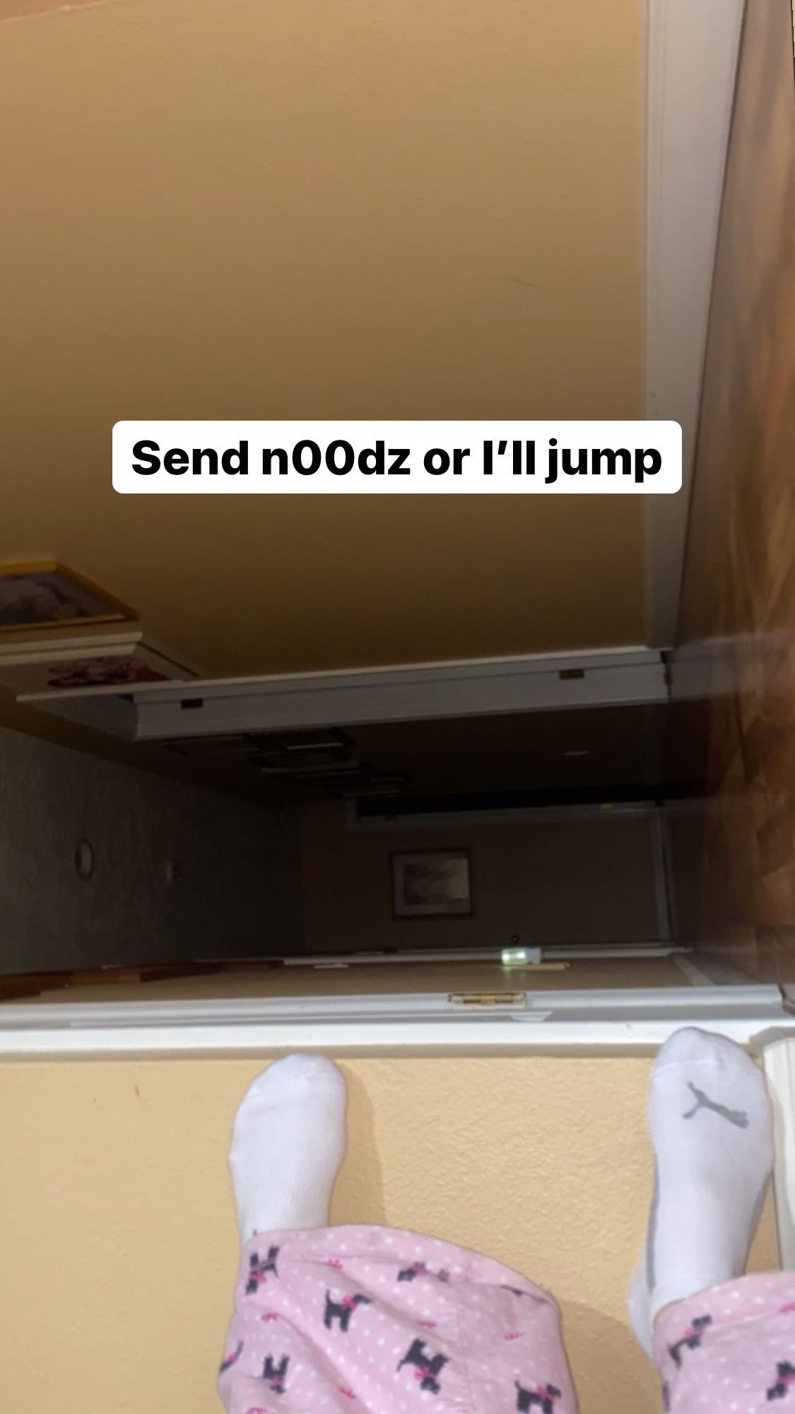 H A L L I E on X: t.coH8YLmX6oqH  X