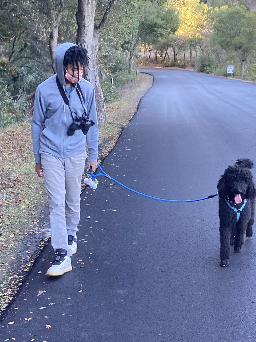 FCCPA's tweet photo. Check out this story about @FCCPA members Iyanu Olukotun, 16, and his mother Kimberly Bomar serving as successful plaintiffs in the lawsuit against the @cityofpaloalto  to open Foothills Park to all, which went into effect December 17. https://t.co/EBtyk7NNOw https://t.co/DiSNAKPo1H