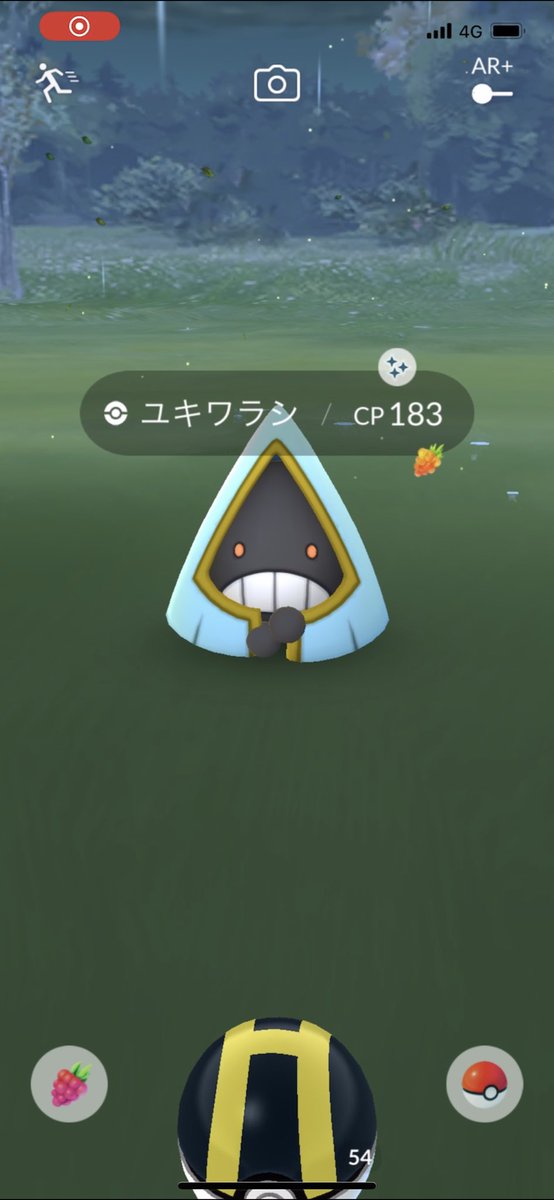 ユキワラシ色違い