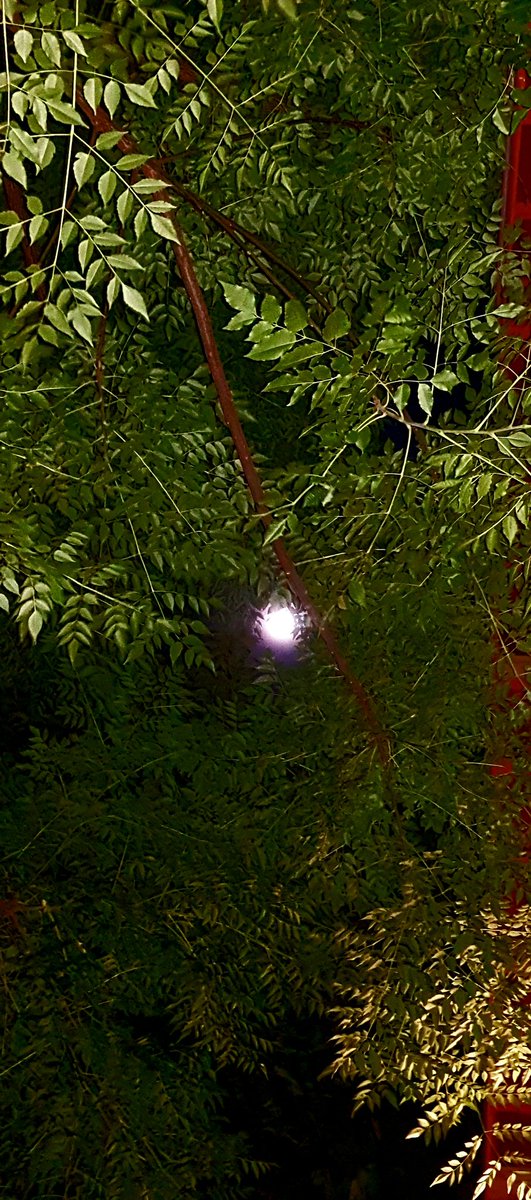 MboBW's tweet photo. Beautiful moon over Gaborone tonight, but #rainmustfall https://t.co/LrL4FLZWM4