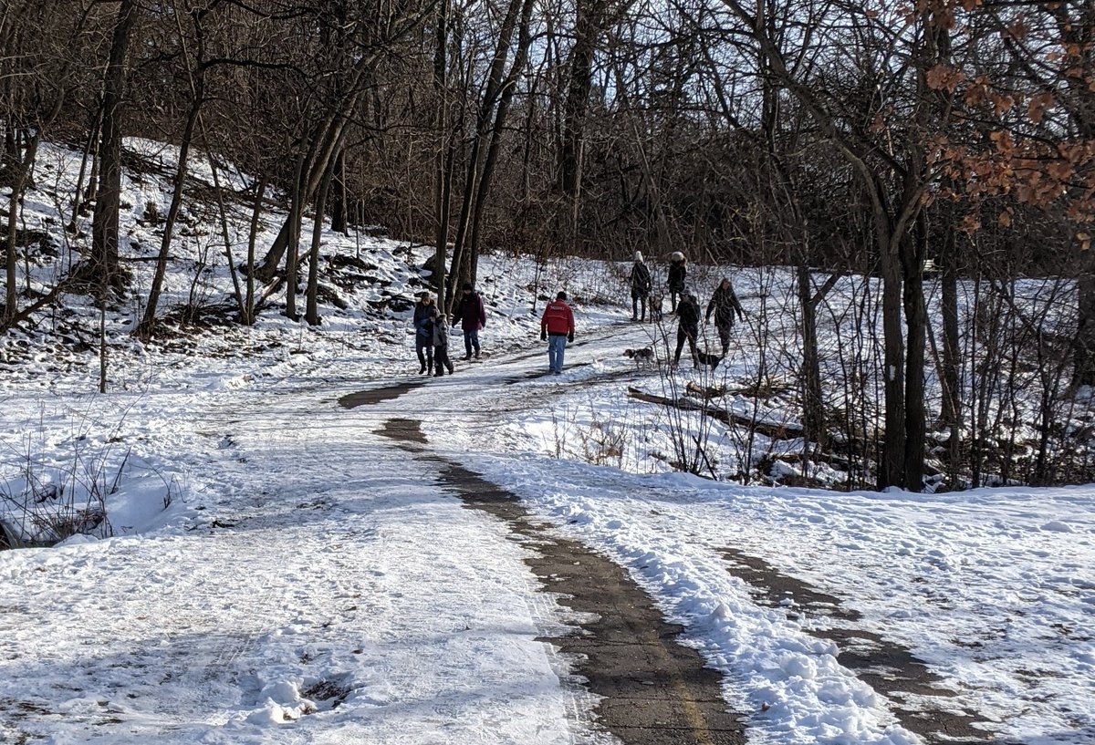 Lots of folks use these paths! I found it about as busy as Victoria Park or the Iron Horse Trail in Kitchener. (Which are generally well cleared.)