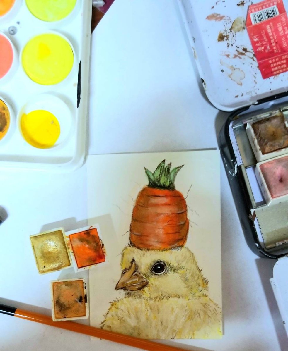 Jennifer Edlund tweet media