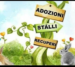 ADOTTA UN CUORE*CONDIVISIONI*APELL tweet media