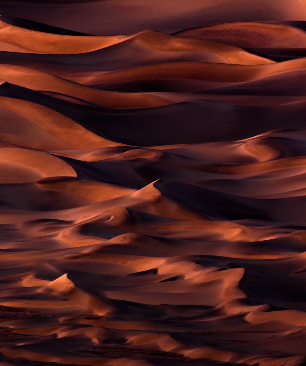 Dave Catuccio tweet media