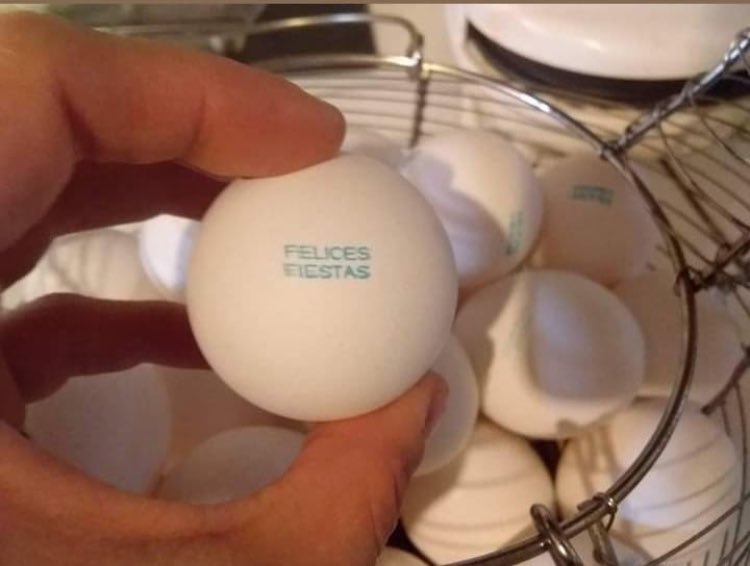 RafAlvareez's tweet photo. Felices fiestas, les desean mis huevos 😉. https://t.co/saoAUi1jg0