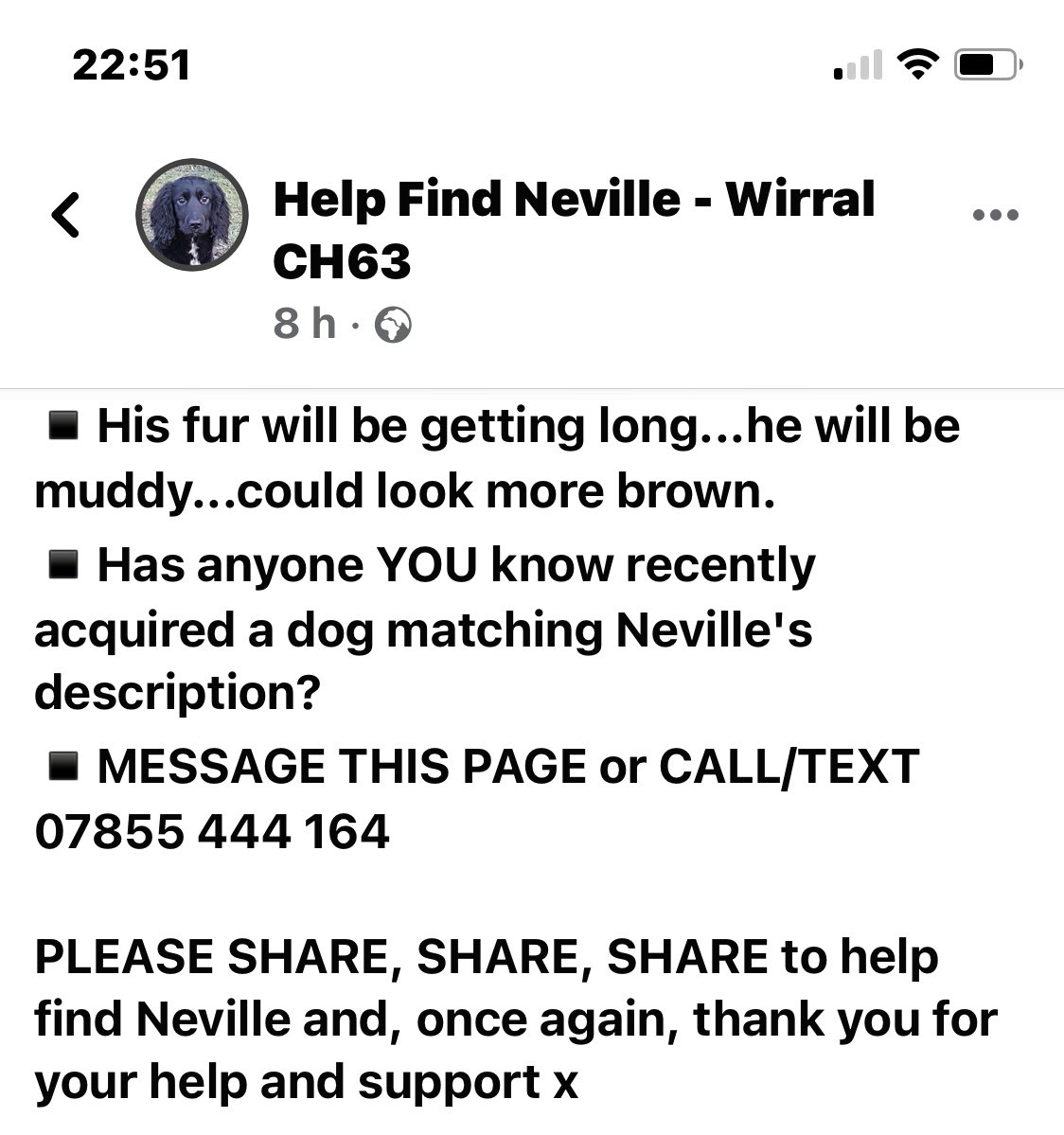 BaileySprocker's tweet photo. Pls share pals - #missingSpaniel #ThorntonHough #Brimstage #Clatterbridge #wirral #CH63 #missingDogWirral https://t.co/FYEOMVjwK7