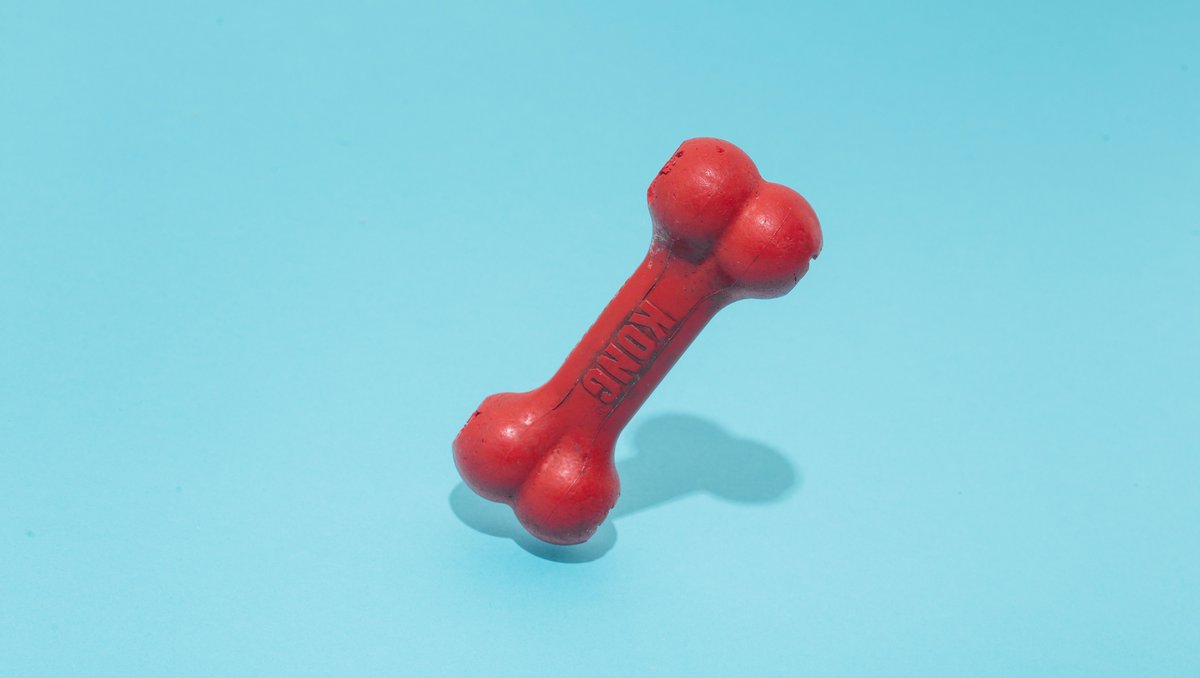 KONG 'Goodie Bones' (filled with treats) will always be a good idea. Healthier, all-natural treat options for this classic chew toy?⁠
⁠
⤵️⁠
⁠
Pumpkin⁠
Apple slices ⁠
Cucumber slices ⁠
Carrots ⁠
Blueberries⁠
Cooked meat/fish