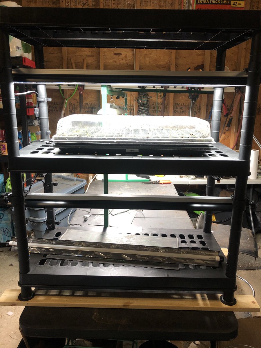 My big garden splurge this year was a Stack-N-Grow light system for seed starting, so I assembled that with help from Kevin, plugged in the heat mat (seriously, heat mat is SO helpful) and stuck it under very close lights.