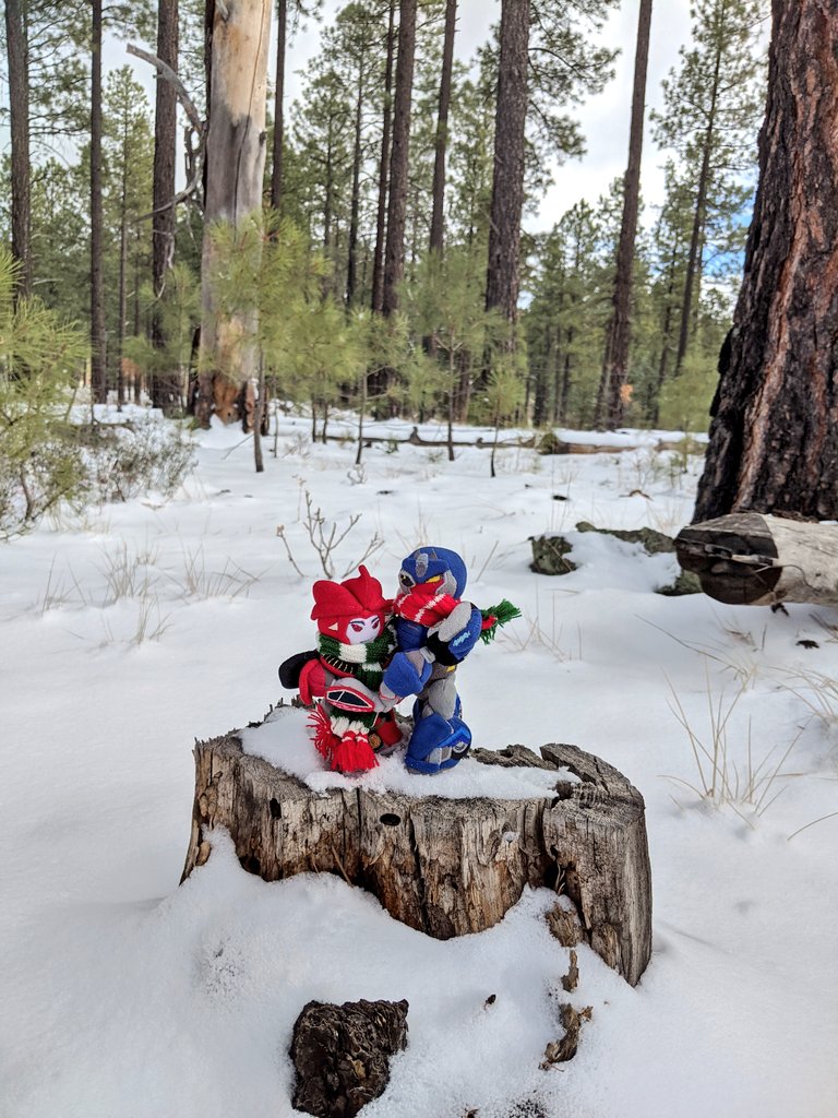 TwoMiniBoys's tweet photo. Exploring the snowy wilderness together~ 💙❤️✨🌨️🏔️☃️ https://t.co/skWczc2Cxg