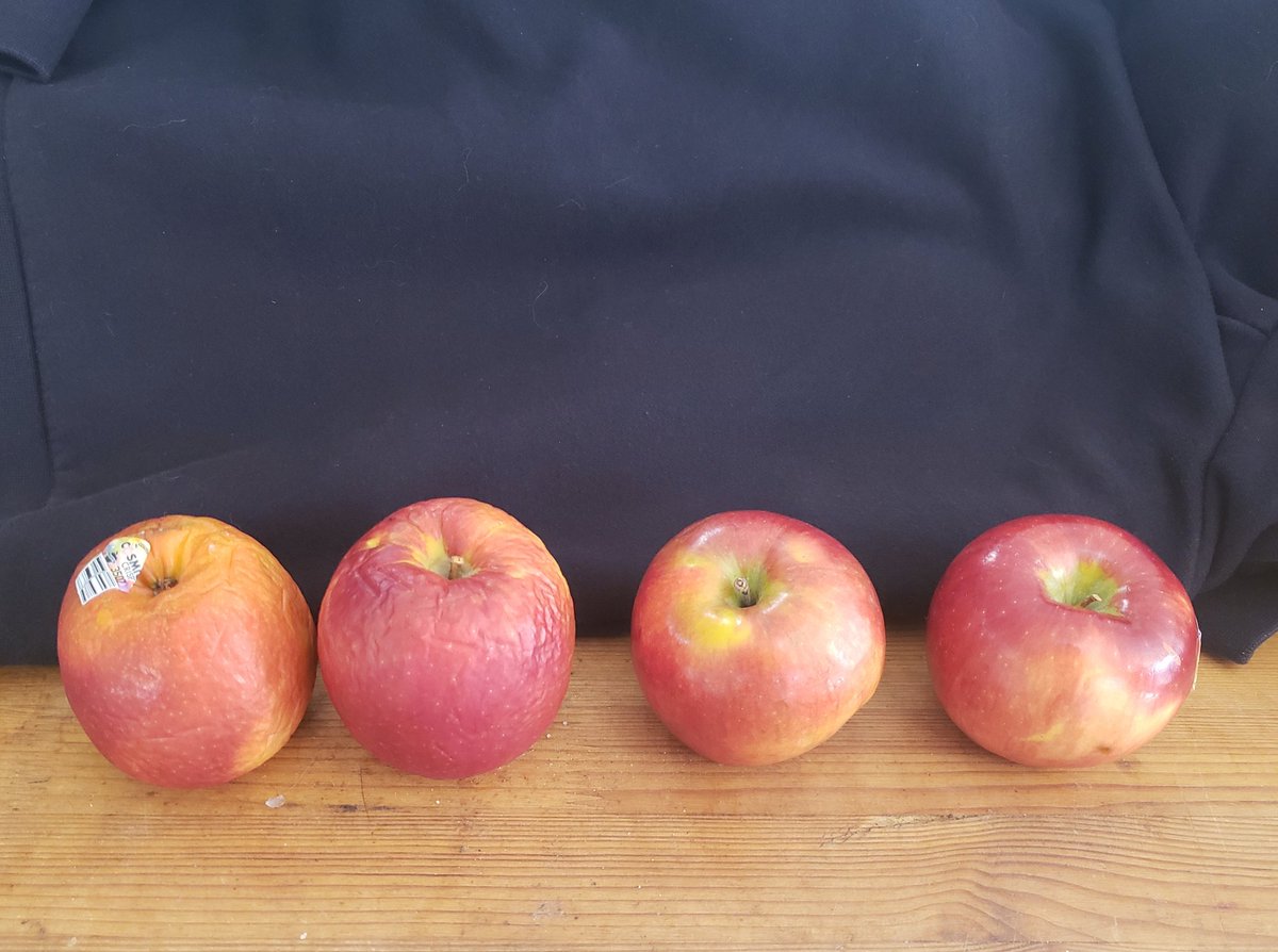 Evan McCoy tweet media