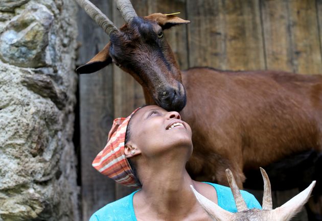 Rest in power sorella.
Ricordero' sempre la dedizione di #Agitu per le sue capre, la sua visione di un mondo sostenibile. 
Ora le indagini ci diranno i dettagli di qualcosa che sta sconvolgendo me come tanti/e.
Ma ecco ora io e molti non riusciamo a smettere di tremare e piangere