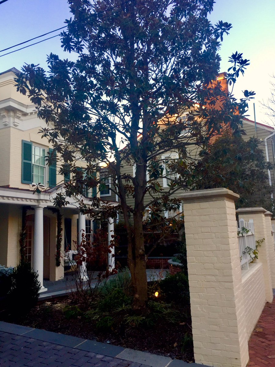 So still in the Heights and turning down  #LeeStreet, the sun is loath to quite call it a day, casting its shadows and a lovely glow. Charming, welcoming  #architecture, no two homes the same. (Love the his and her wheels.)
