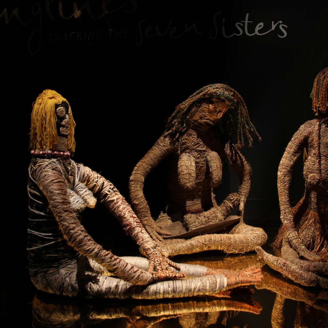 Western Australian Museum tweet media