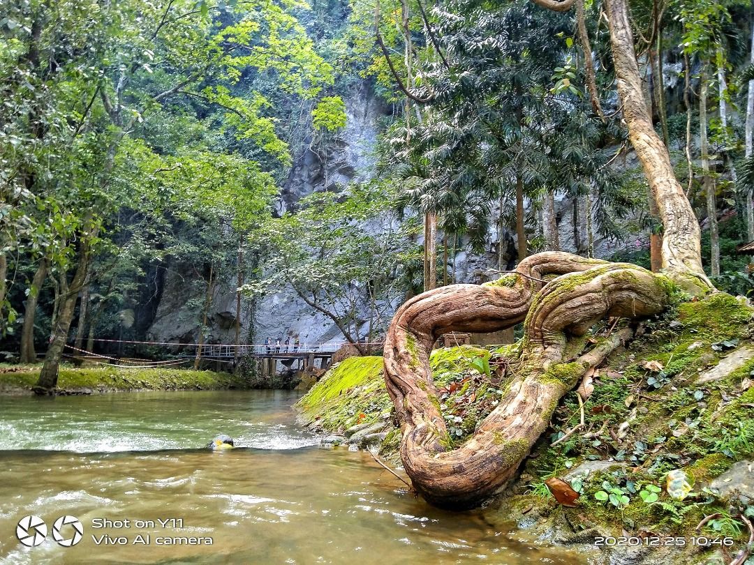 PerlisPermai's tweet photo. 𝗦𝗔𝗟𝗔𝗠 𝗣𝗘𝗥𝗟𝗜𝗦

30 Disember 2020 | 15 Jamadilawal 1442H

Selamat Pagi | 📷 Tenang Dan Mendamaikan @ Taman Rekreasi Gua Kelam, Kaki Bukit, Perlis

Kredit foto : Notty Green

#PerlisPermai💛💙 #SelamatPagi🌄 
#JomPiPerlis #GuaKelam #Malaysia🇲🇾 https://t.co/myJWUBVxkd