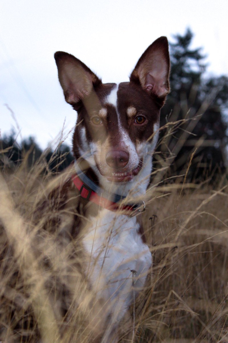 TaylorBaith's tweet image. When you’re in a bad mood but your mom tells you to smile for the picture