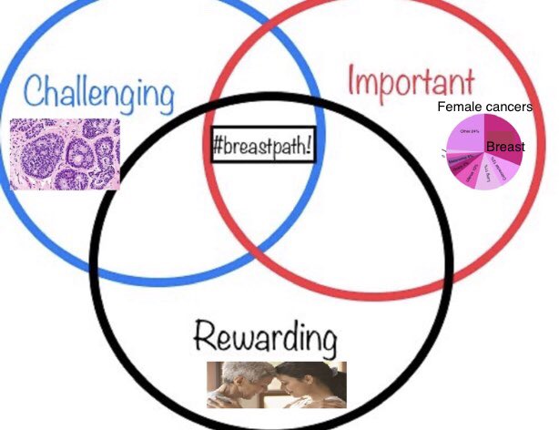 This can be a tricky area, as the entities have overlapping morphologies, and don’t always fit neatly in a category. So, here is a much simpler and more important  #breastpath Venn diagram, that most would agree on.Happy Holidays all.