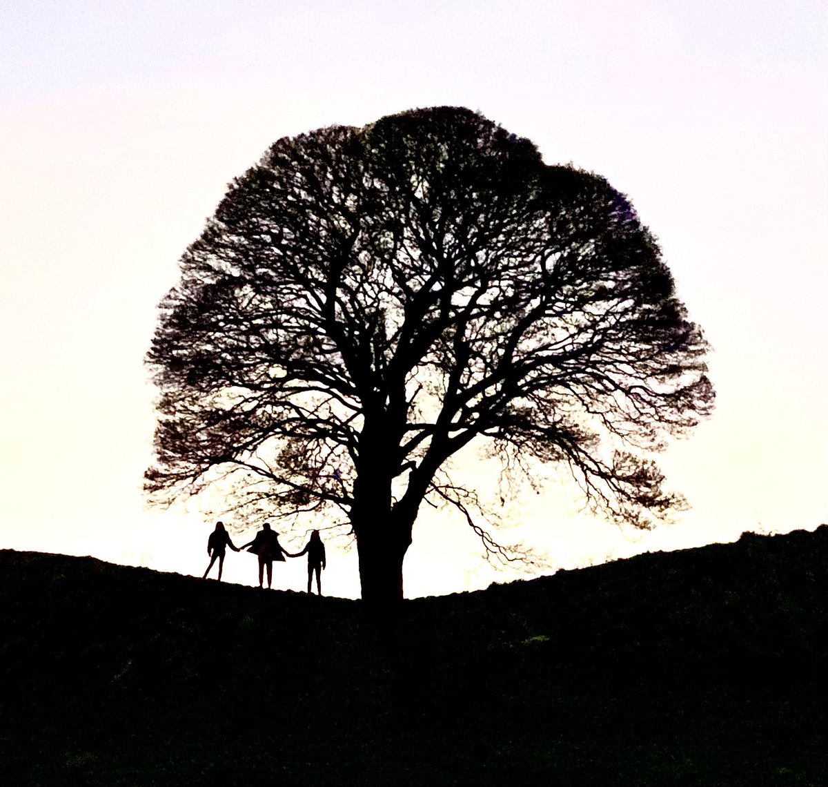 <a href="/kcfoxo/">katherine</a> ....and ours.x