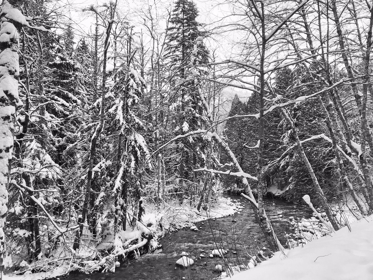 Snow days series
.
.
.
. #shotoniphone 
.
.
.
.
.
.
.
.
.
#pnw_shooters #seattlephotographer #seattlestreetphotography #streetsseattle #professionalportraits #seattleartist  #postmoreportraits #street #blackandwhitephotography