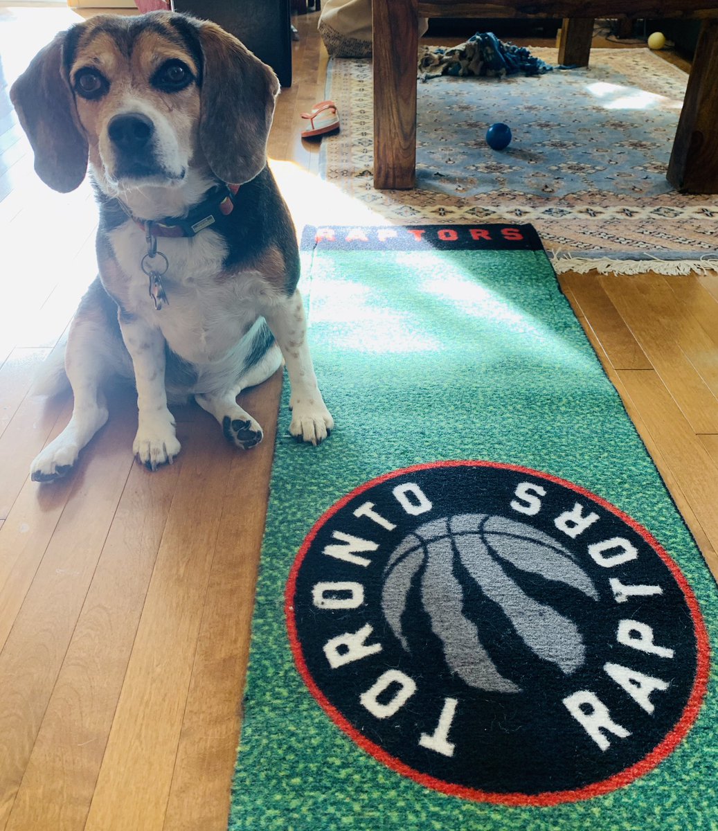 Sammy says Go Raptors !
#TangerineFanAngle