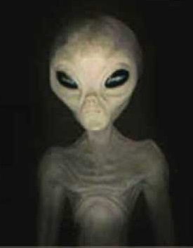 RealJakeDevlin's tweet image. #Lockdowns in #DemocratsAreDestroyingAmerica states are actually designed for #KillingTheMiddleClass, driving them into #poverty and #dependent on a #tyrannical #socialist #government.

Really.

Or maybe #aliens?  (JK)

JakeDevlin.com

.