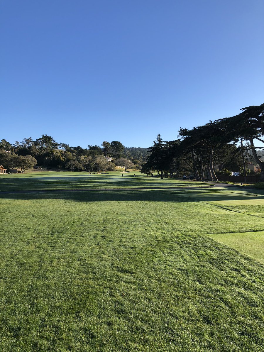 Dorian Keller tweet media