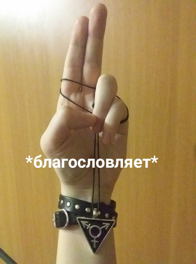 Пиздец в скворечнике #нетвойне tweet media