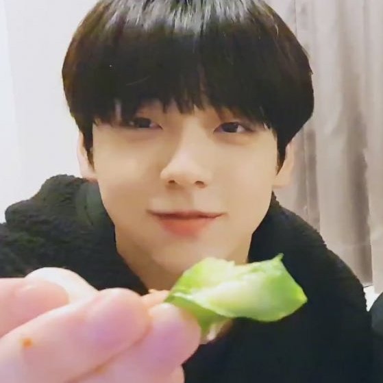 목요일의 라미아_✘ tweet media
