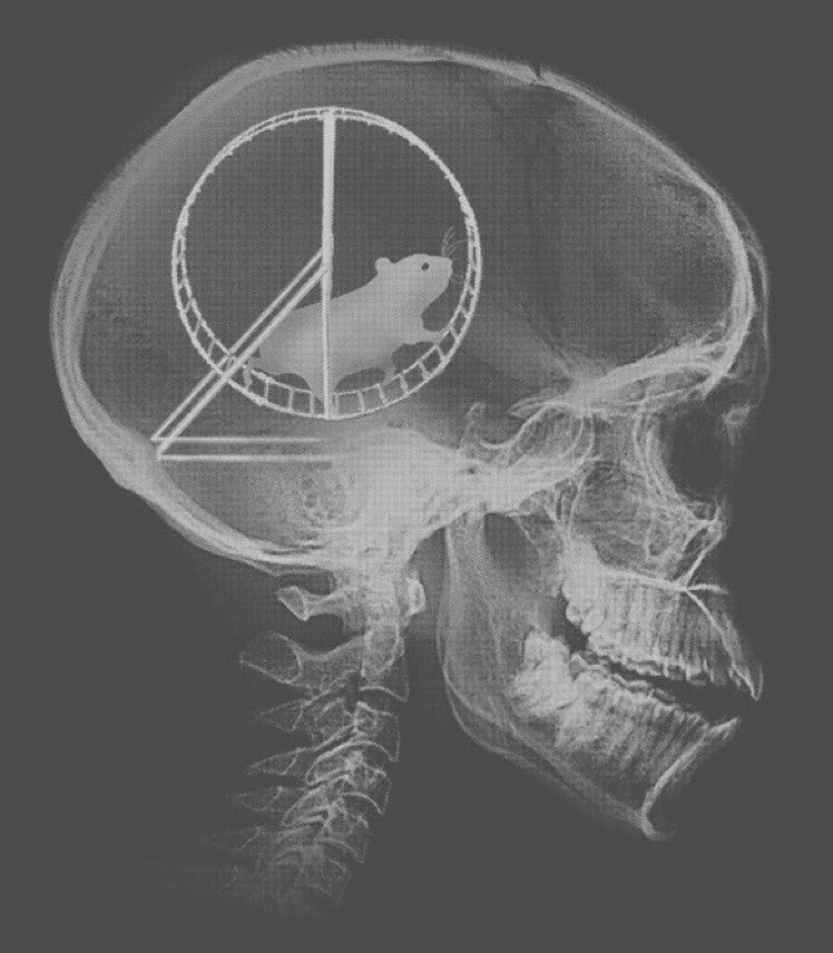 whoranislife's tweet photo. someone said this was trumps brain and i can’t stop thinking about it https://t.co/ItxDusV01W