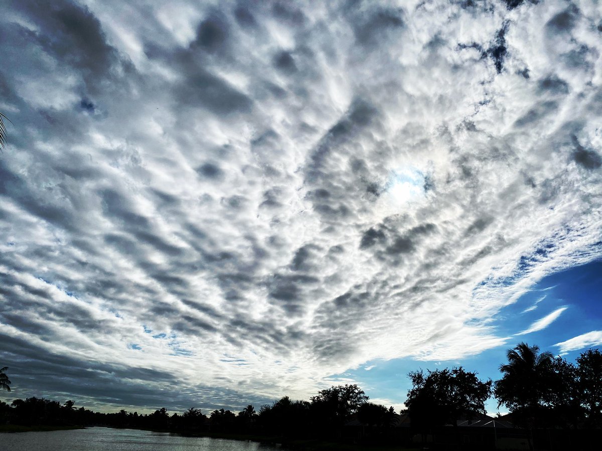 DianneBGray's tweet image. Last patient/client visits of the year. So grateful for the main life lesson from all: Minutes matter. Seconds count. What would you do w/24 more hours with someone you ❤️? What would you say? #time #preciousresource