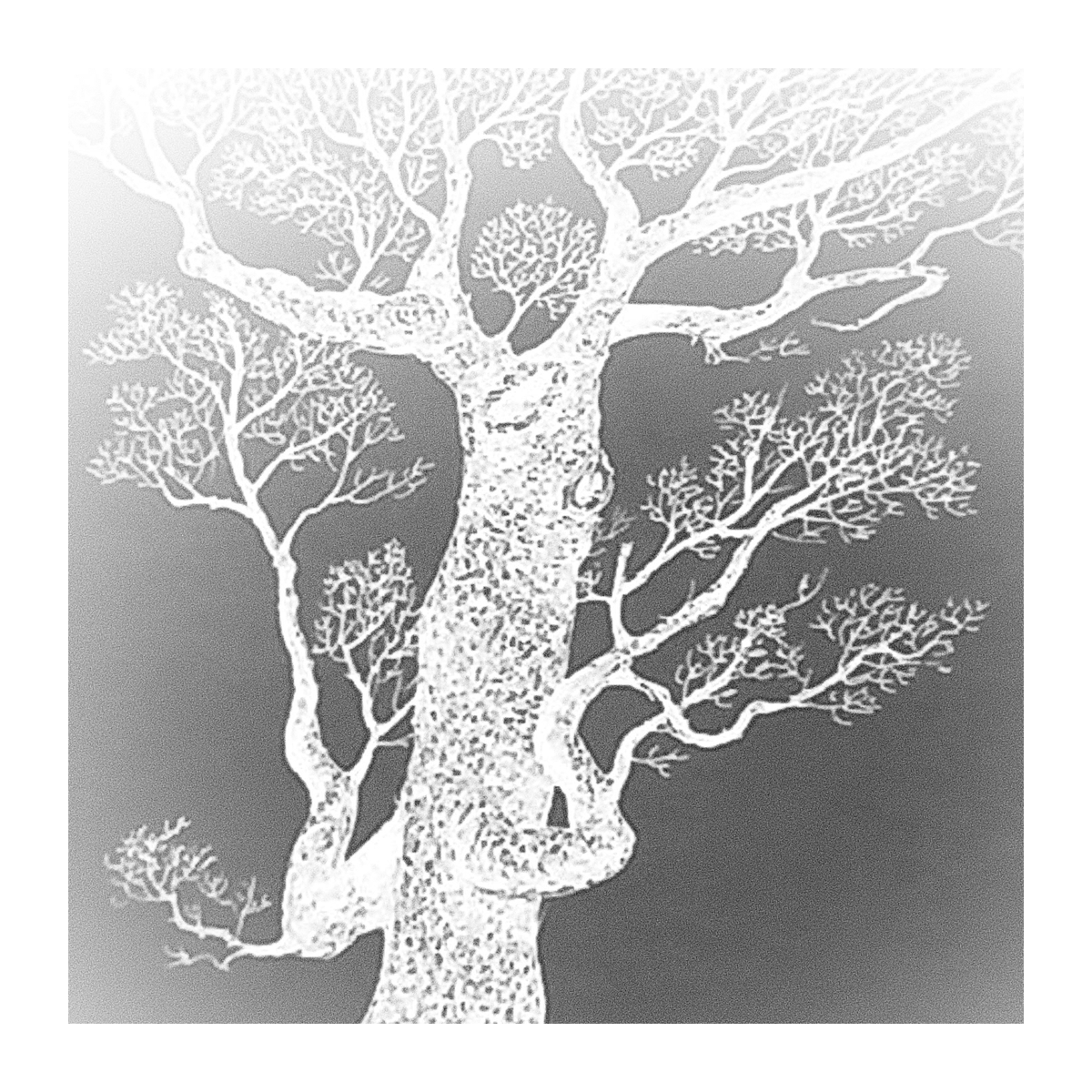 moonbloom's tweet photo. . My new Moonbloom track, “Treetop Lament”.~*.
https://t.co/jONmf56L2J
https://t.co/UAEL1cmduV
#Moonbloom #moonbloomusic #WayneJTirone #Tirone
#newengland #TreetopLament #crossgenre #instrumentalmusic #guitar #instrumentals #fullmoon https://t.co/fSi3V8R1fm