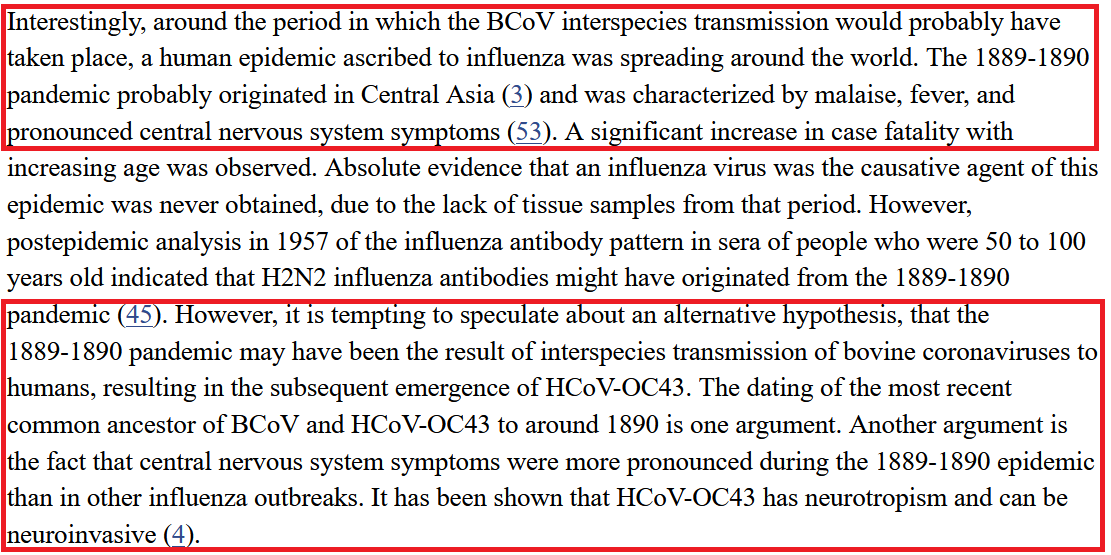 the respiratory secretions of these infected cattle. If these secretions contained bovine coronavirus (BCoV), as molecular dating would suggest 2 be possible, then it's imaginable that this culling event facilitated a BCoV cross-species jump 2 humans, instigating RFP. (5/n)