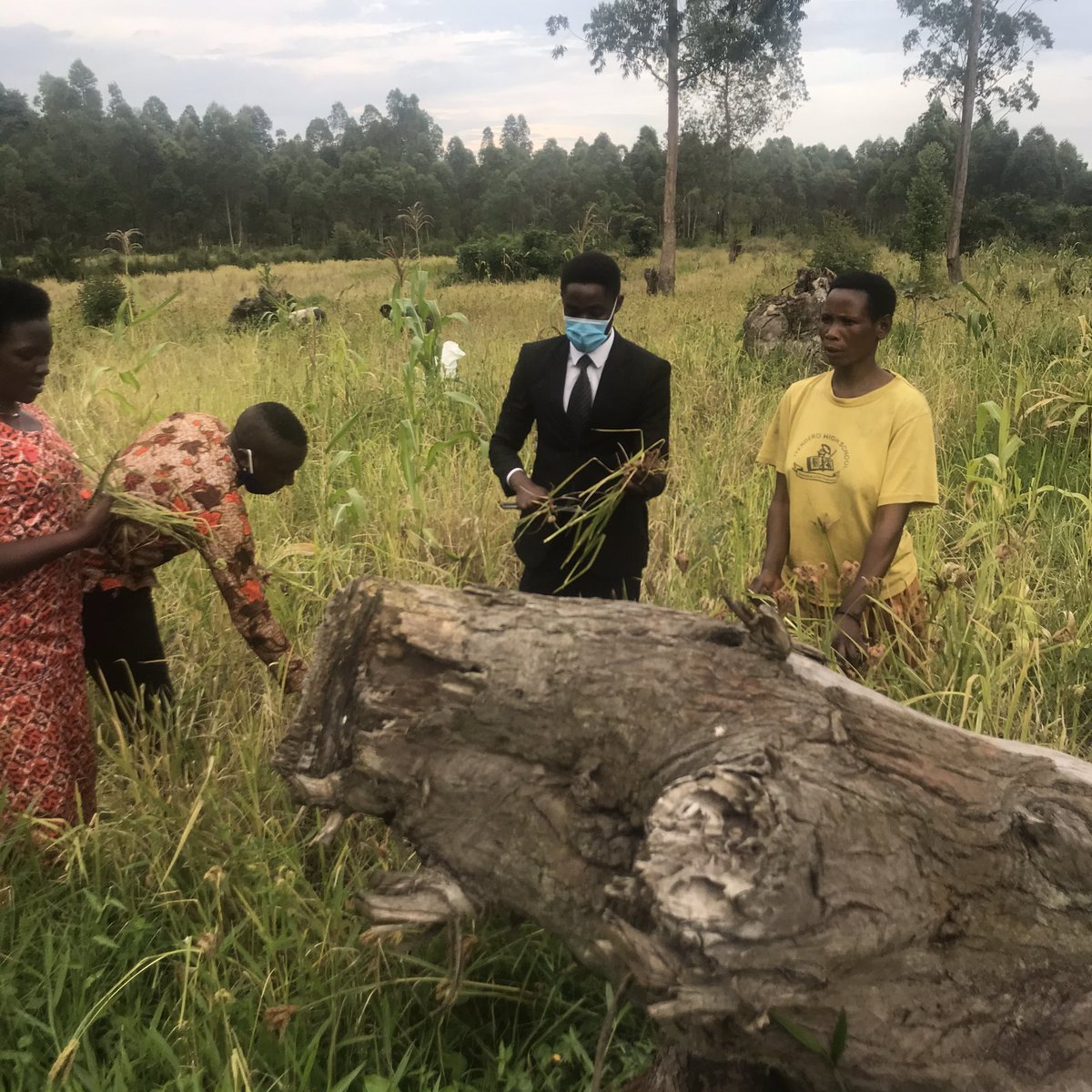 mulindwa_guy's tweet photo. Agroforestry is one of the great ways to combat climate change and increase food security in Africa!
Farmers @believe_youth have practiced and benefited a lot from it... We are expanding our reach to all East African Countries.
Join us #fornature #foryourplanet https://t.co/jOZU96NFpz