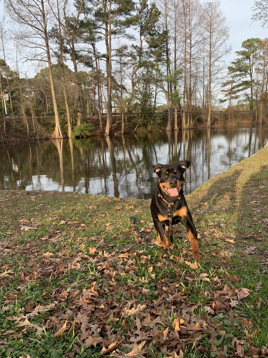 _bcozy's tweet image. Might as well drop it here , Monday with my babies 🖤